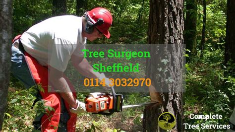 Tree Surgeons Sheffield Commercial And Residential Tree Removal And