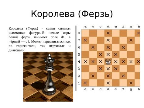 Знакомство с шахматной доской 1 класс презентация 85 фото