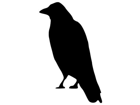 Black Raven Clip Art At Vector Clip Art Online Royalty