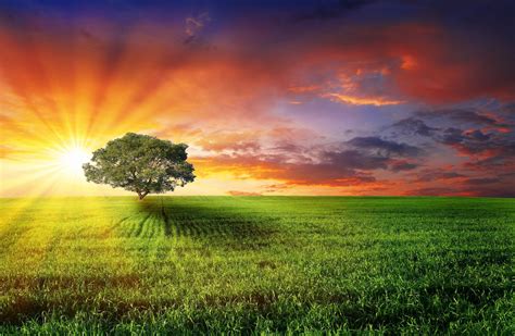 Rays of Sunshine Wallpapers - Top Free Rays of Sunshine Backgrounds