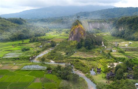 Суматра (много фото) - treepics.ru