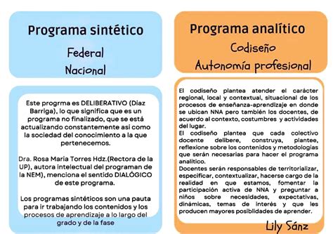 Programa Sintentico Y Anal Tico Programa Sint Tico Programa Anal Tico Federal Codise O