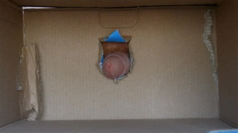 Rouge The Bat Cum Tribute Sop American Gay Amateur Amateur Porn Xhamster