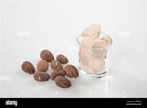 Shea Nuts With Shea Nut Butter Cream Stock Photo Alamy