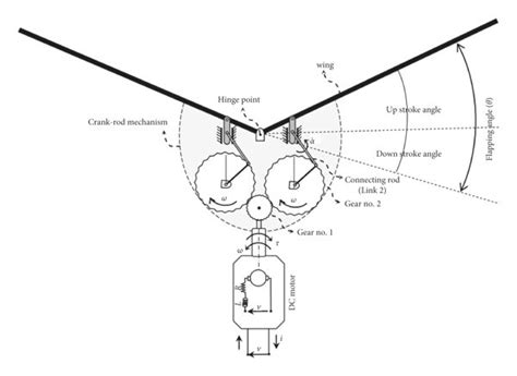 sketch  present flapping mechanism   scientific diagram