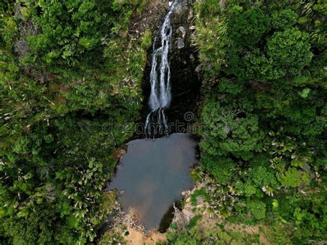 Karekare Falls - New Zealand Waterfalls Stock Image - Image of