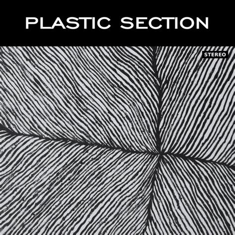 plastic section plastic section
