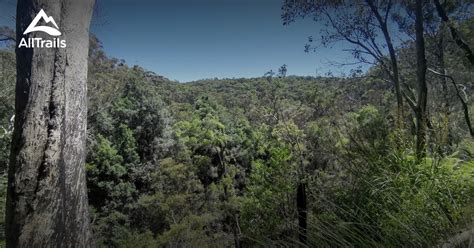 Umina beach | List | AllTrails