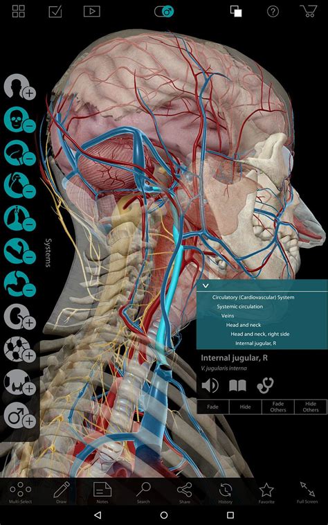 Anatomy 3d Atlas