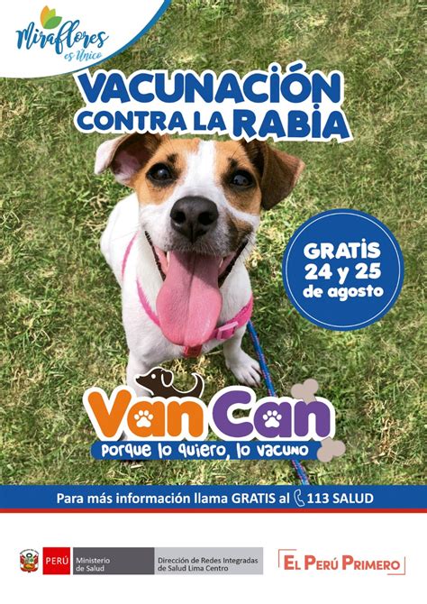 Campa A De Vacunaci N Antirr Bica Canina Vancan Del Minsa Se Realizar