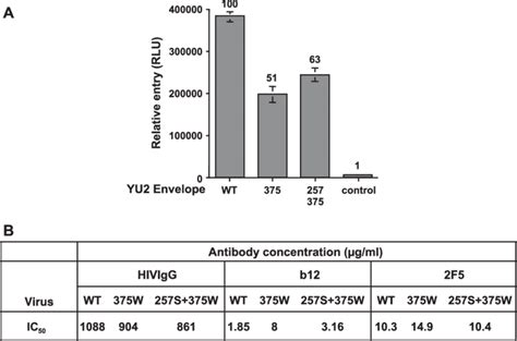 Entry And B12 Neutralization Of Pseudotyped Wt And Mutant Hiv 1 A