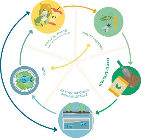 The Effect Of Soil Degradation On Human Animal And Plant Health