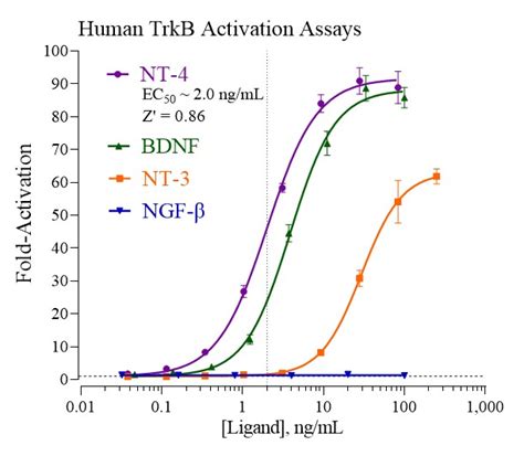 Human Trkb Reporter Assay Kit Indigo Biosciences