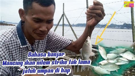 Bahasa Banjar Lucu Kocak Mancing Ikan Nilem Strike Umpan Tak Lama