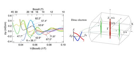 dirac fermions detected  quantum oscillations maglab