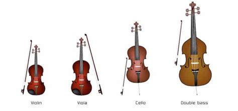 Viola Vs Violin: What's The Difference?