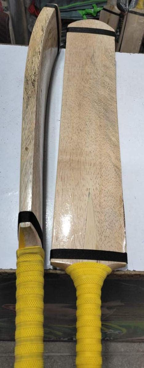 Original Coconut Cricket Bat Daraz Pk