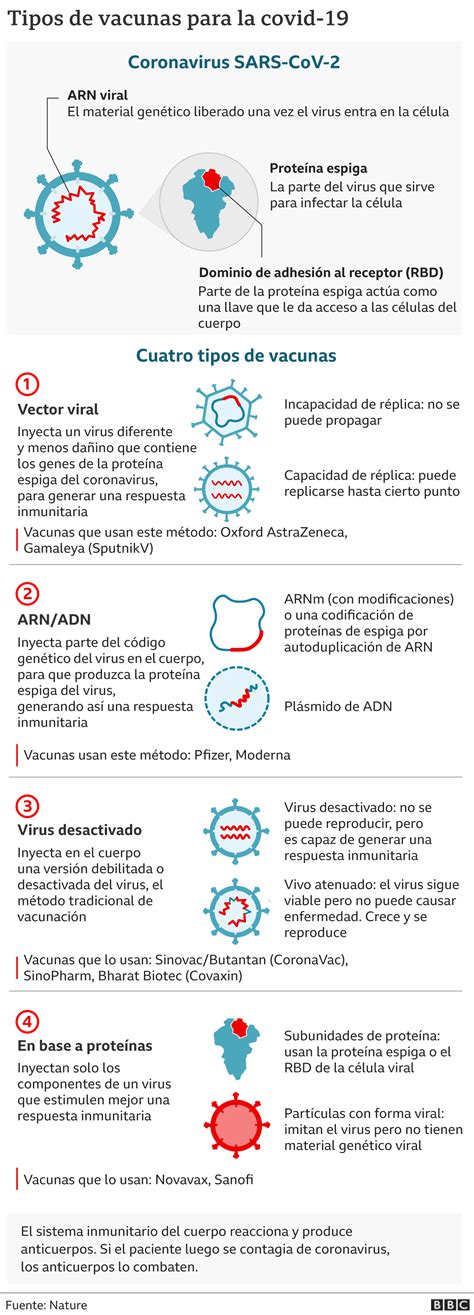 Soberana 02 Qué Se Sabe De La Vacuna Que Está Desarrollando Cuba