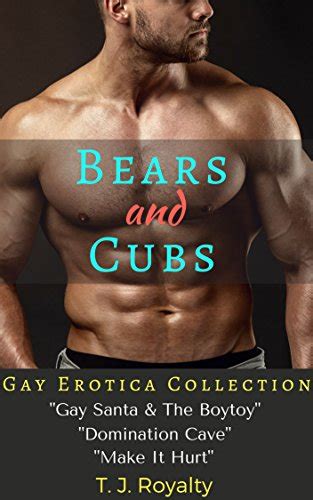 Amazon Co Jp Bears And Cubs Gay Erotica Collection Gay Santa The Boytoy Domination Cave