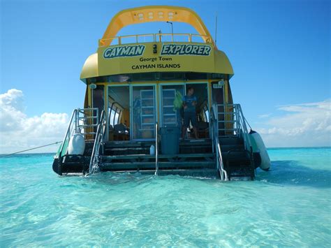 Cayman Sea Adventures Ltd. Marineland Tours (2026) - All You Need to