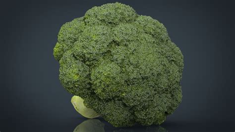 3d Model Broccoli Vr Ar Low Poly Cgtrader