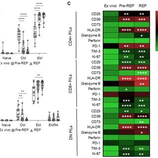 Phenotypic Characterization Of T Cells Infiltrating Prostate Tissues