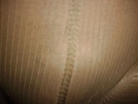 NYLONS 1 Porn Pictures XXX Photos Sex Images 399388 PICTOA