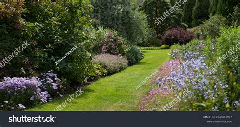 English Country Garden Mixed Borders Many Stock Photo 2249610997 ...