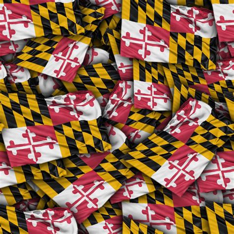 maryland state flag liquid concepts