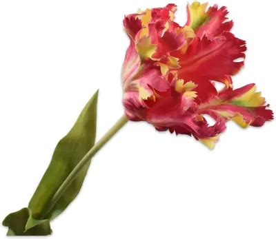 Silk Ka Kunsttak Tulp Cm Rood Geel Kopen Tuincentrum Osdorp