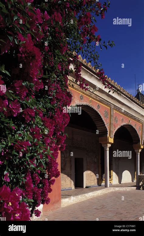 Spain Andalusia Sevilla Casa De Pilatos Pilate S House Palace