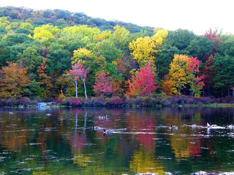 Seasons Reflections Stanley Zimny Thank You For Million Views