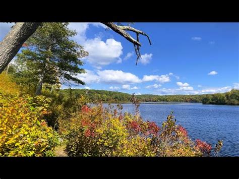 Delaware Water Gap Fall Foliage in Pennsylvania 2025 - Rove.me