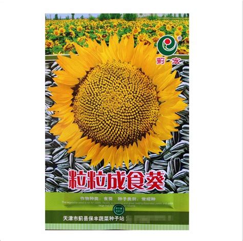 Are Spitz Sunflower Seeds Healthy