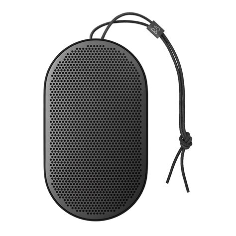 Beoplay P2 - Портативная Bluetooth колонка, с защитой от пыли и брызг ...