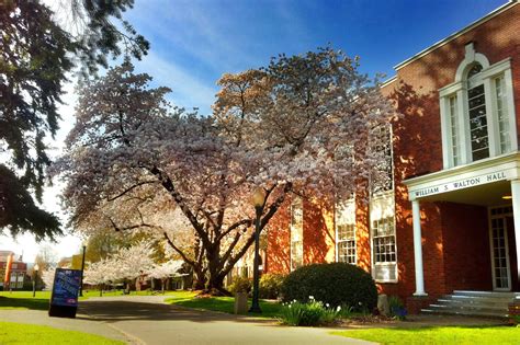 9 Top Oregon Colleges And Universities