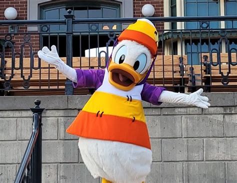 Pictures Donald Duck In His Halloween Costume At Disneyland The Geek