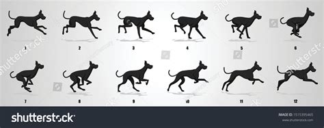 Vektor Stok Run Cycle Animation Sequence Animation Frames Tanpa