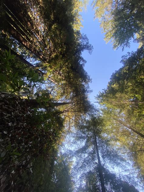 Lets Play My Wifes Horny Right Now Swap Pics Fantasys Wife Or