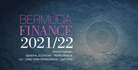 bermuda finance mitch blaser joins panel discussion  islands