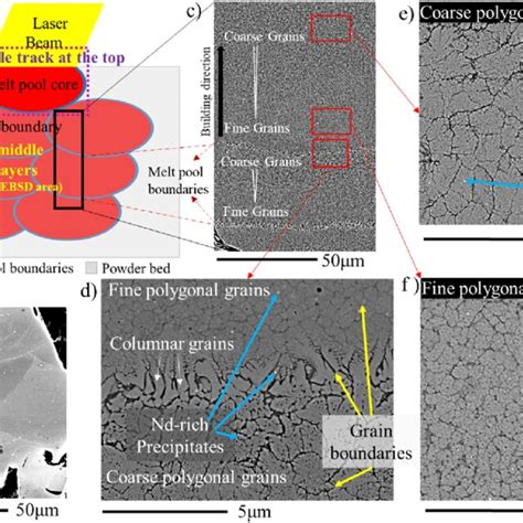 Microstructure Of The Pbf Lb Nd Fe B A Schematic Illustration Of The