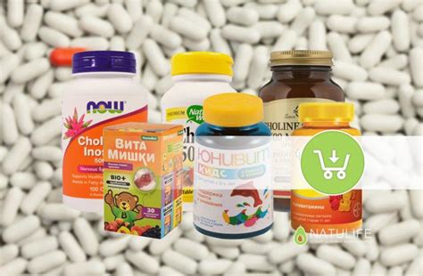 Лучшие источники Холина в продуктах и препаратах в аптеке