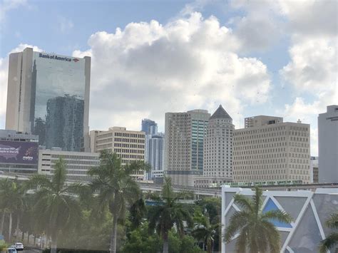 Tuesday Morning :) : r/Miami