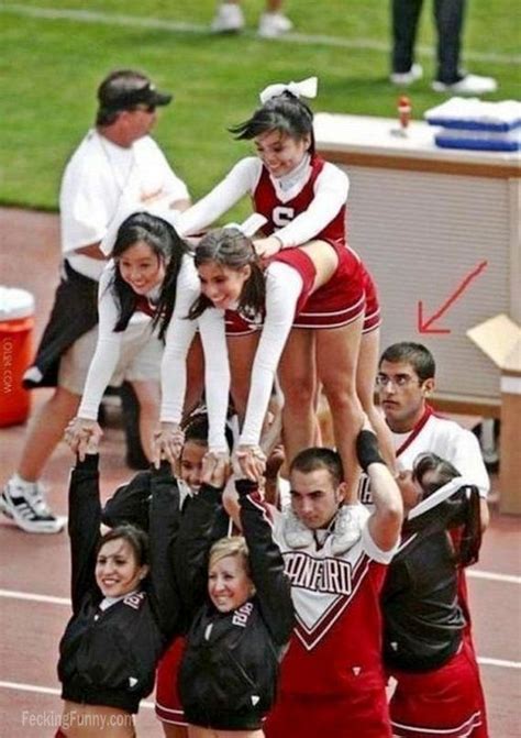 Pussy Archives Fecking Funny Pictures