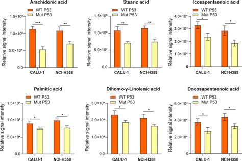 Mutation Of TP53 Confers Ferroptosis Resistance In Lung Cancer Through