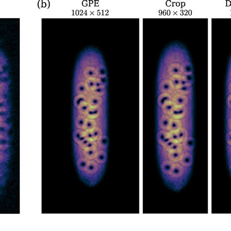 Images of atomic Bose–Einstein condensates (BECs) containing quantum ...