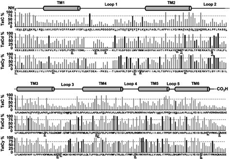 Amino Acid Conservation Alignment Between The Overall Bacterial TatC