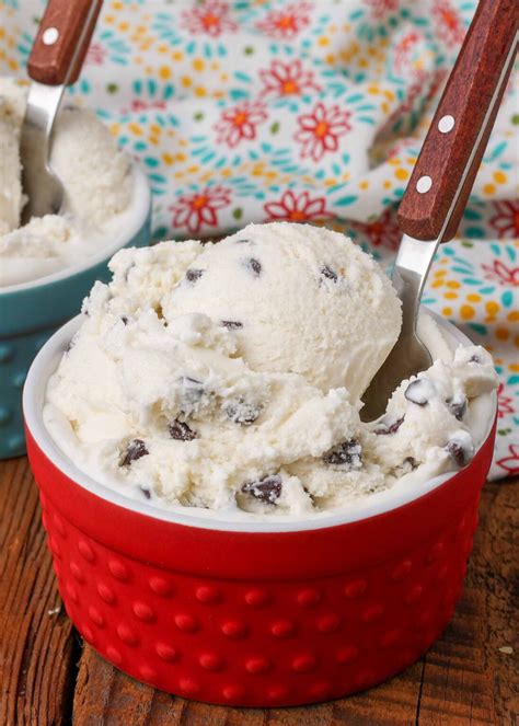 Chocolate Chip Ice Cream - Barefeet in the Kitchen