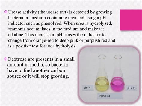 Ppt Ureas Test Powerpoint Presentation Free Download Id2240414