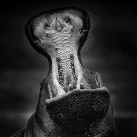 Stream Destroy Everything You Touch by ɹǝʌloʌuı | Listen online for ...